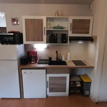 De L'isard Bleu, Dans Résidence De Tourisme 3 étoiles Lourdes